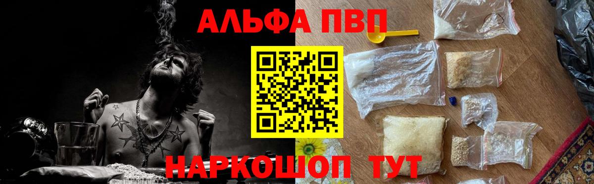 Альфа ПВП СК Шебекино