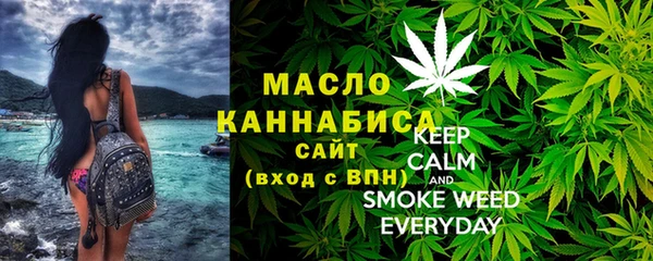 индика Кулебаки