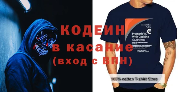 индика Кулебаки