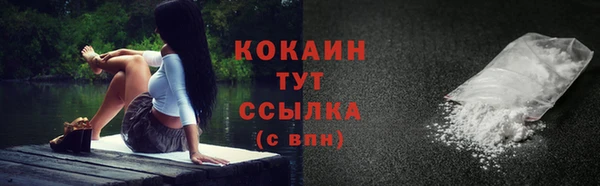 индика Кулебаки