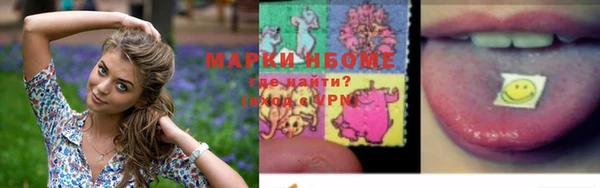 индика Кулебаки
