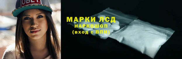 индика Кулебаки