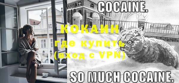 индика Кулебаки