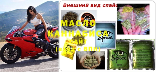 индика Кулебаки