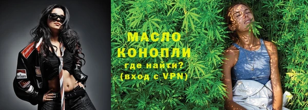 индика Кулебаки