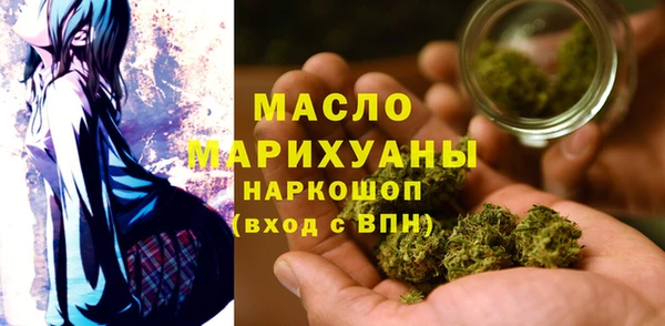 индика Кулебаки