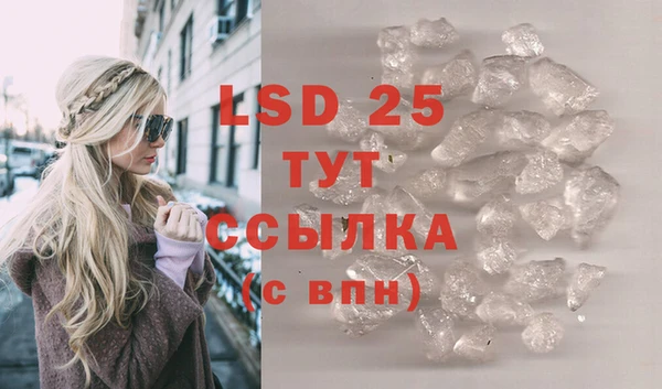 индика Кулебаки