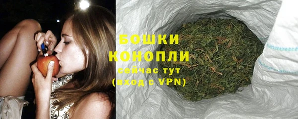 индика Кулебаки