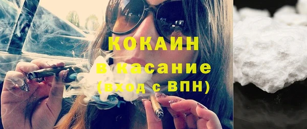 индика Кулебаки