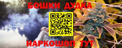 хмурый Дубна