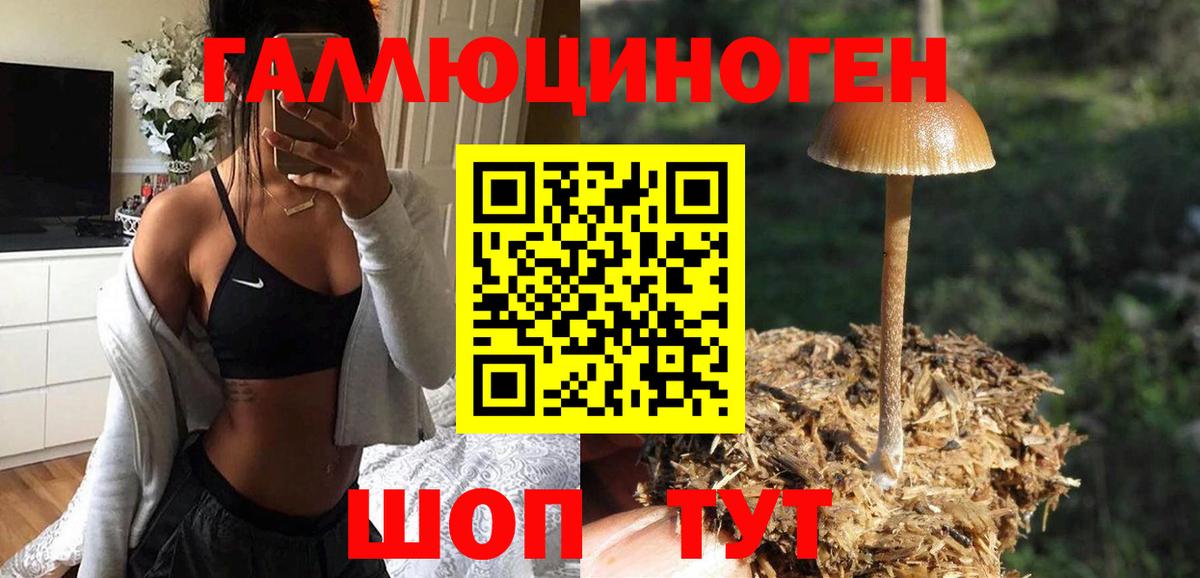 Галлюциногенные грибы Psilocybe  Псилоцибиновые грибы GOLDEN TEACHER  продажа наркотиков  Вход с VPN  Шебекино 