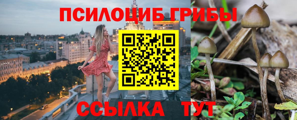 Псилоцибиновые грибы прущие грибы Шебекино