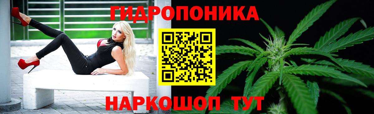 Шебекино  Шишки марихуана Amnesia  Бошки марихуана Bruce Banner  МАРИХУАНА White Widow  Марихуана Amnesia  Вход с VPN 